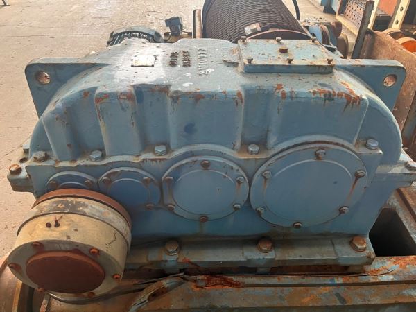25 TONLUK VİNÇ KEDİSİ