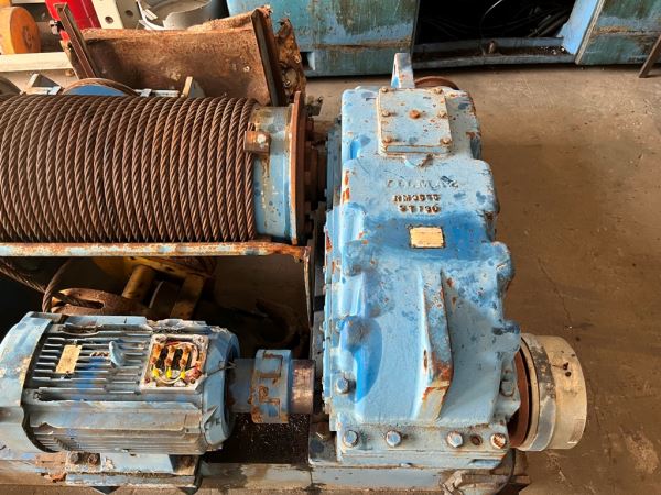 25 TONLUK VİNÇ KEDİSİ