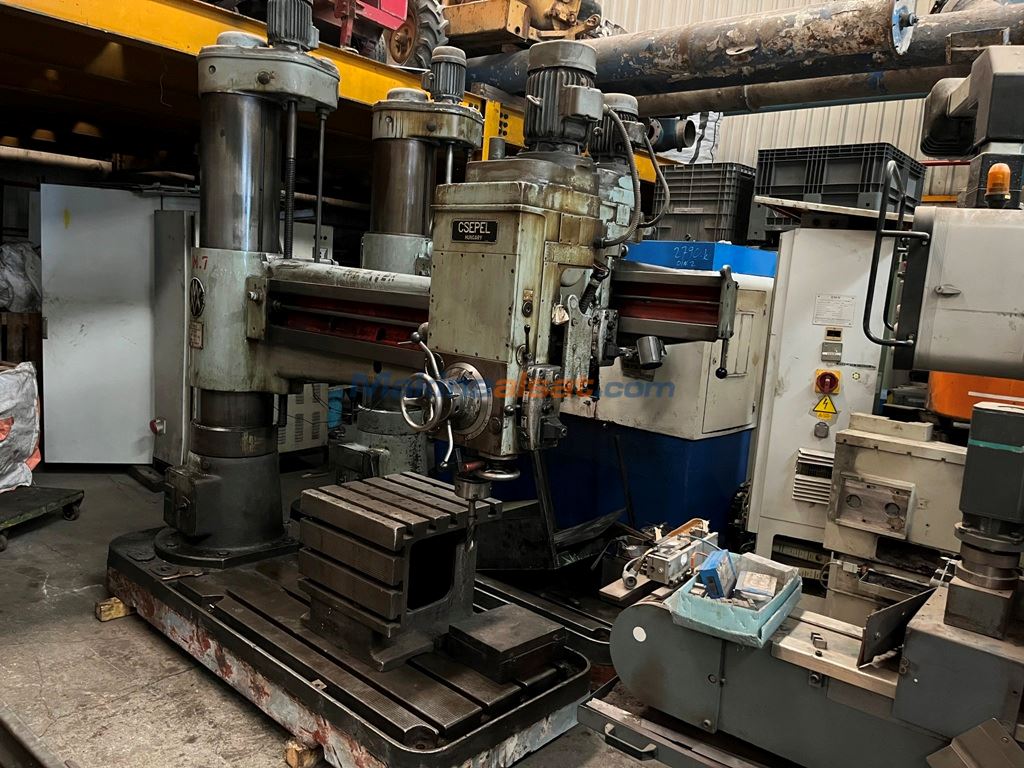 CSEPEL RF50x1600 RADYAL MATKAP