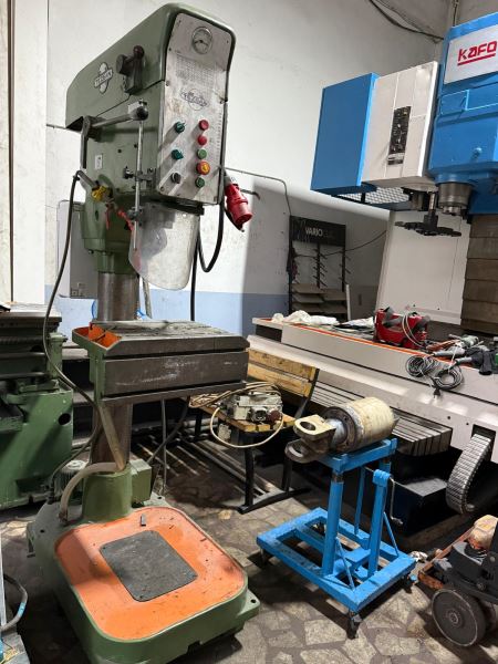 TESSAN ŞANZIMANLI MATKAP